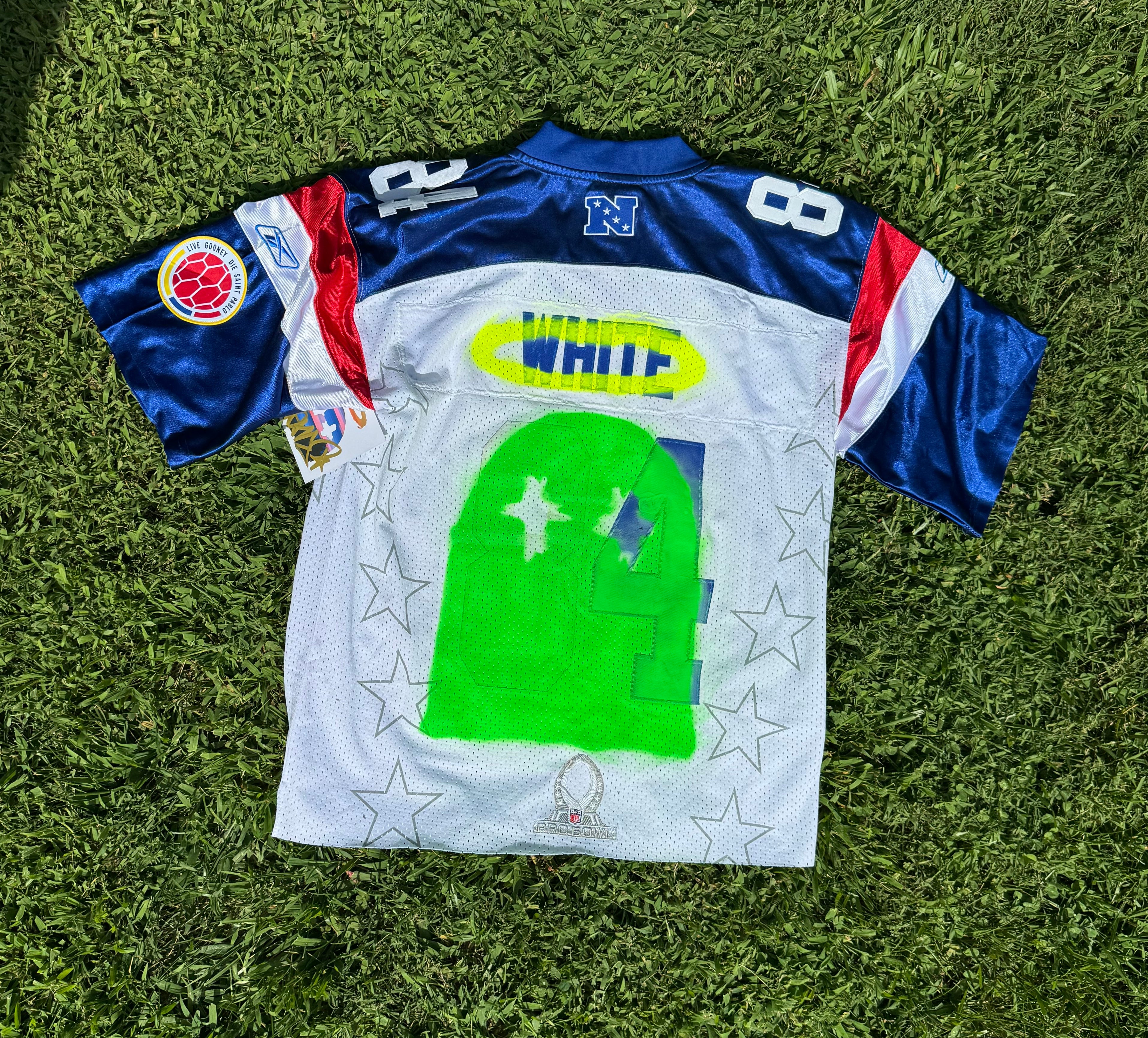 1 of 1 Bwood x Rems pro bowl jersey